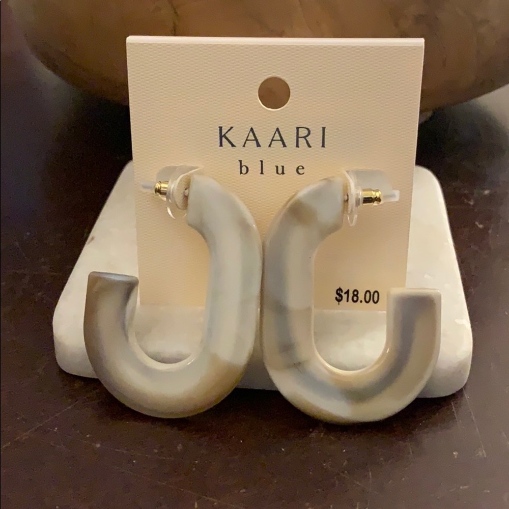 Resin Neutral Earrings